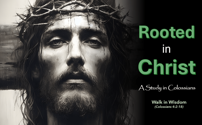 ROOTED IN CHRIST: Walk in&nbsp;Wisdom
